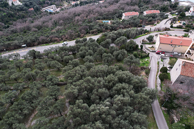 LAND FOR SALE – RUDINICE, PLUŽINE MUNICIPALITY — photo 5