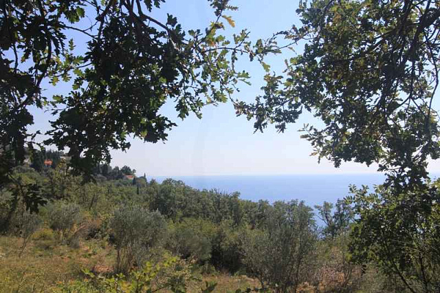 Land in Rezevici — photo 4