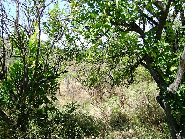 Land in Bar — photo 4