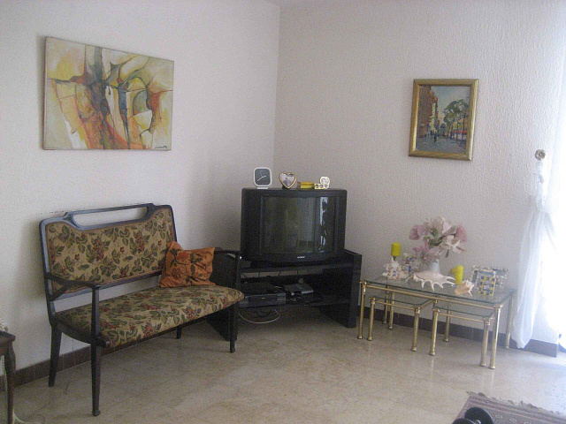 Spacious house surrounded by palm trees — photo 6