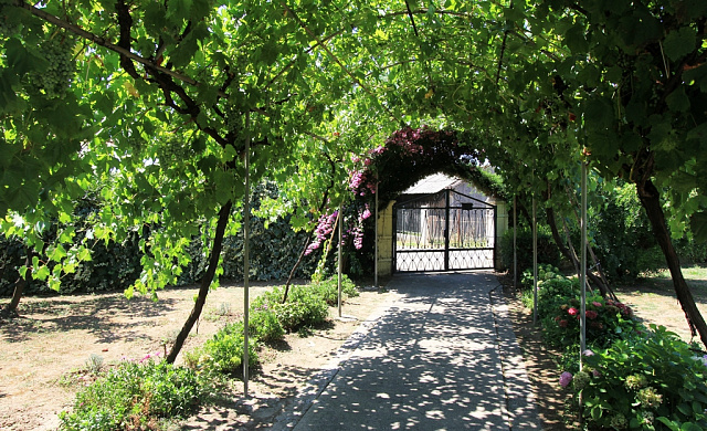 House with a beautiful courtyard in Bar — photo 11