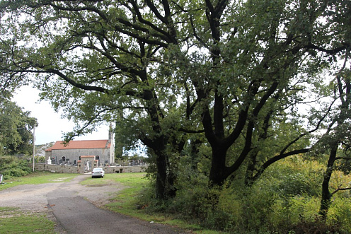 Plot in Markovichi