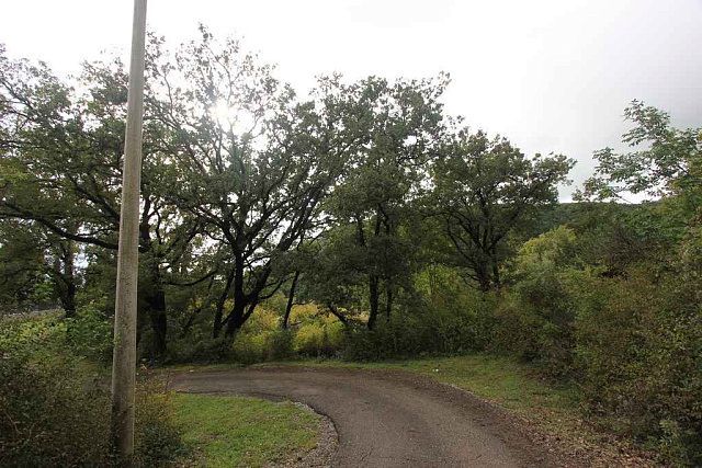 Plot in Markovichi — photo 4