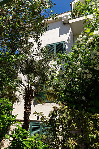 Spacious house in Budva — photo 42