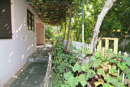 House with a courtyard and driveway in Belishi — photo 3