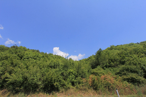 Plot in Radanovici