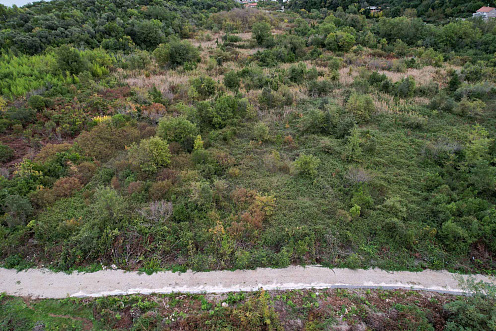 Plot in Gosici — photo 2