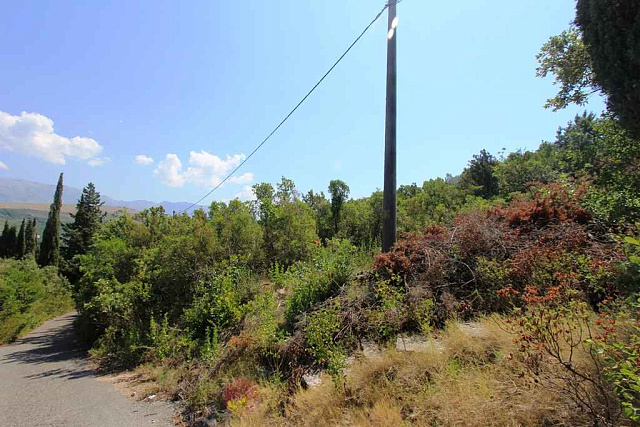 Plot in Bigovo