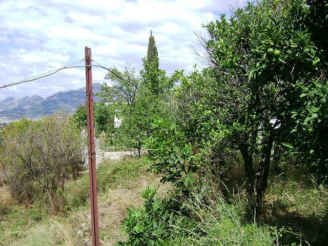 Land in Bar — photo 6