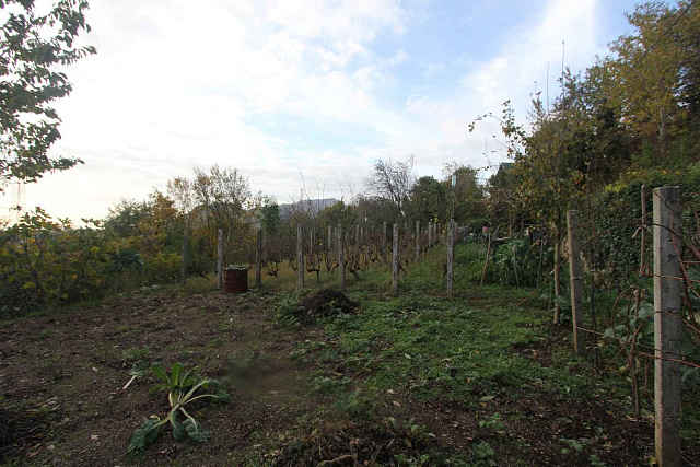 Plot in Mokrine  — photo 4