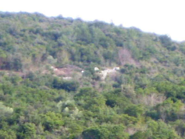 1833 Kotor Grbal Plot 13571m2 — photo 2