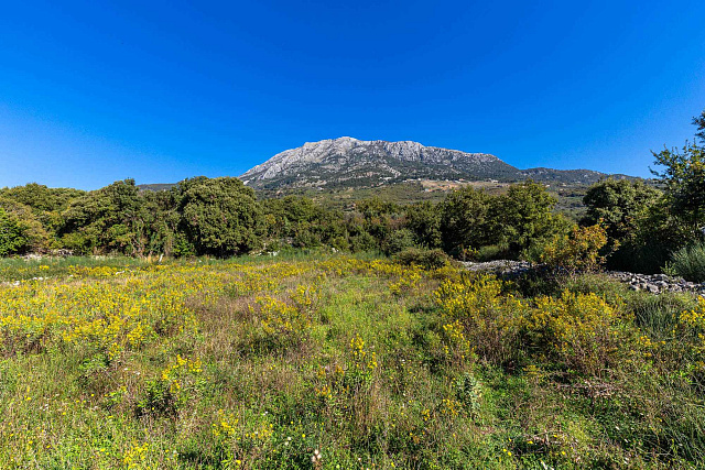 Plot in Bar-Pečurice 2003m²