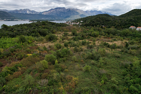 Plot in Gosici — photo 3