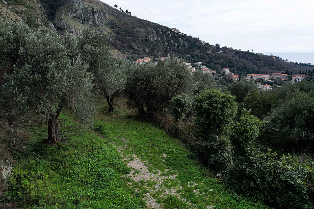 FOR SALE – EXCLUSIVE BUILDING LAND IN REŽEVIĆI, MONTENEGRO — photo 8