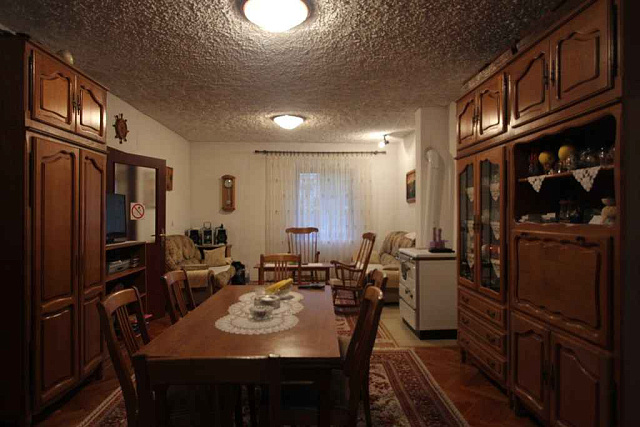 Mountain view house in Topla
