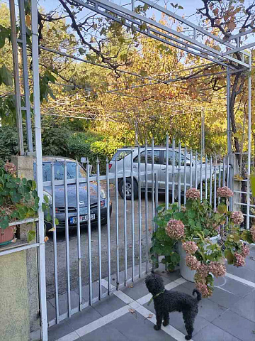 House in Budva — photo 10