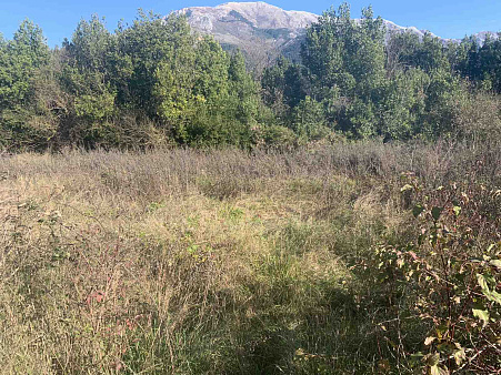 Urbanized plot near Kotor — photo 2
