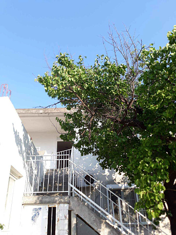 Apartment on the first floor of house in Bar — photo 4