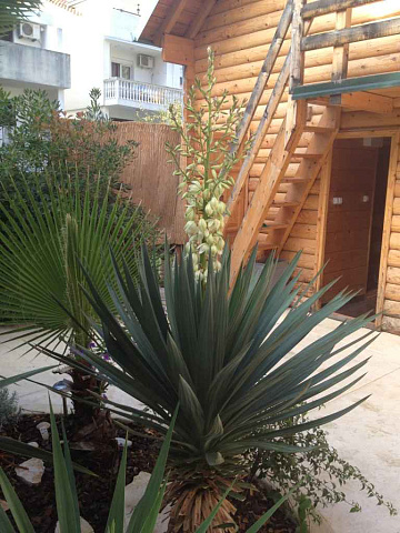 Sixteen Bedroom Hotel Near The Sea Budva — photo 9