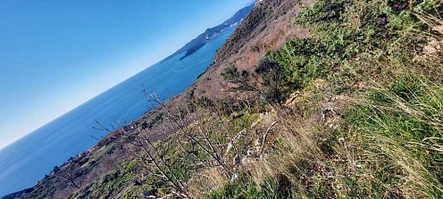 Plot in Blizikuce, Sveti Stefan, Budva — photo 3