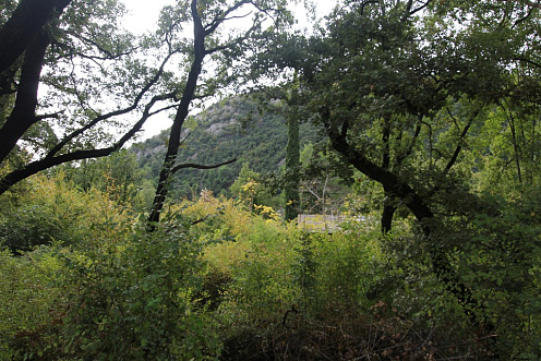 Plot in Markovichi