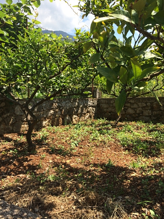 Plot with small house in Dobre Vode 
