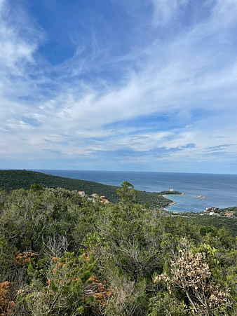 Land plot 19,000 m² - Žanjice — with permitted use for villa construction