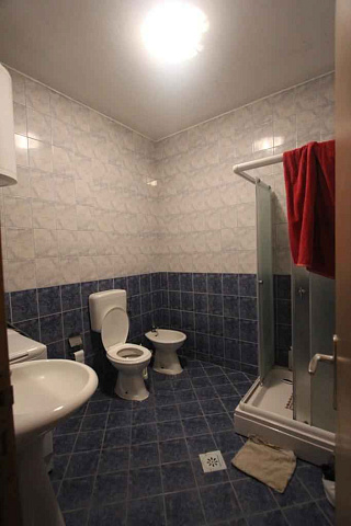 A furnished house in Topla — photo 22