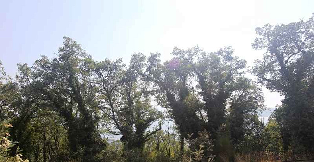 Grundstück mit Meerblick in Kulyach — photo 13