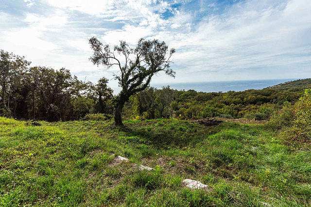 Plot for sale in Reževići, 975 m² — photo 10