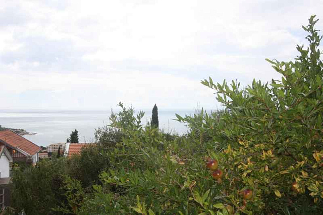 Plot in Dobre Vode 