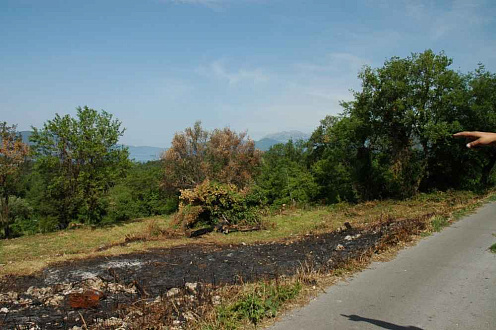 Land in Tivat with sea view — photo 2