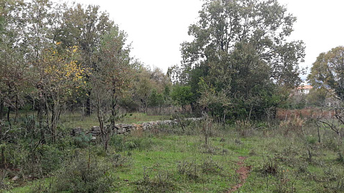 A plot in Radovici — photo 3