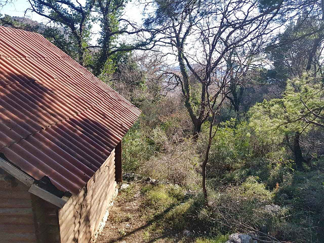 Plot in Lazi