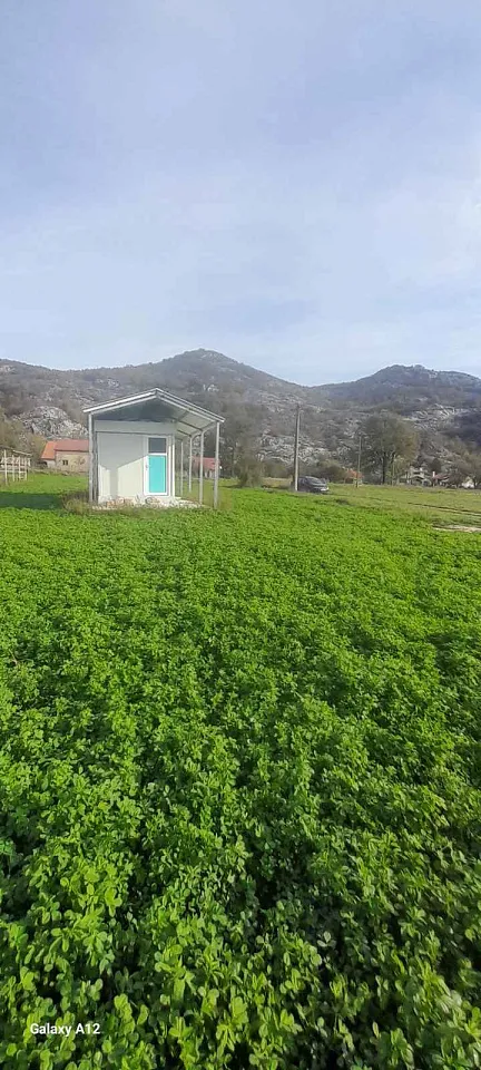 Plot for Sale in Grahovo