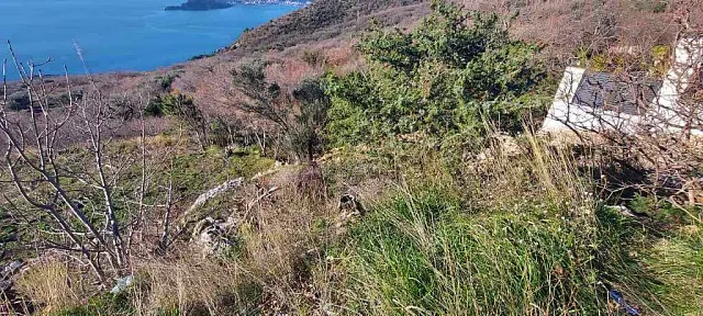 Plot in Blizikuce, Sveti Stefan, Budva — photo 8