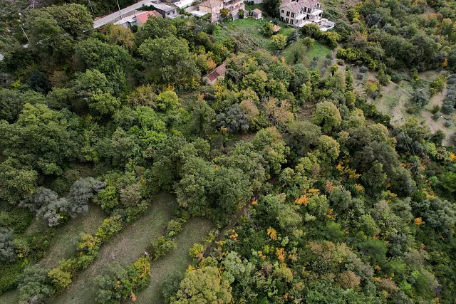 Plot in Kavac  — photo 14