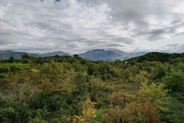 Plot in Gosici — photo 6
