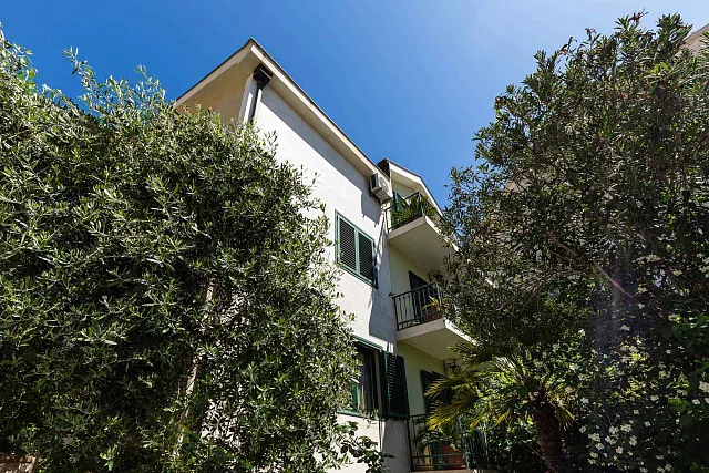 Spacious house in Budva — photo 35