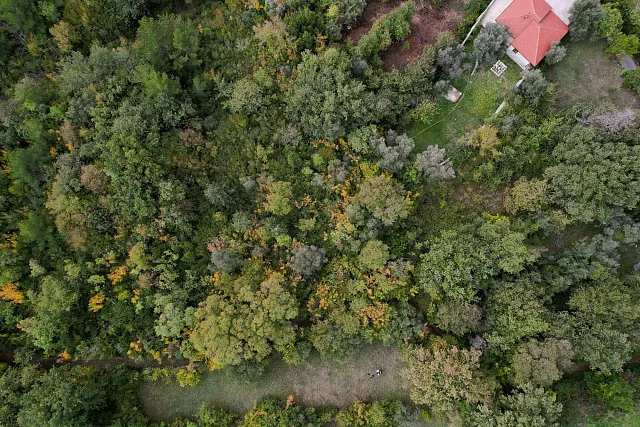 Plot in Kavac  — photo 8