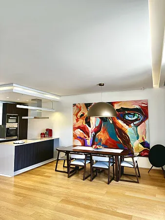 Luxurious apartment in Budva with sea view