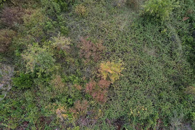 Plot in Gosici — photo 11