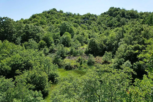 ATTRACTIVE LAND FOR SALE IN CETINJE – 1,000 m² BY THE ROAD