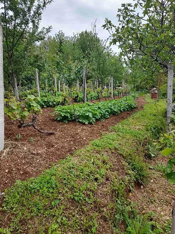# 6879 urbanized, well-maintained 700 m² plot in Mokrinje — photo 4