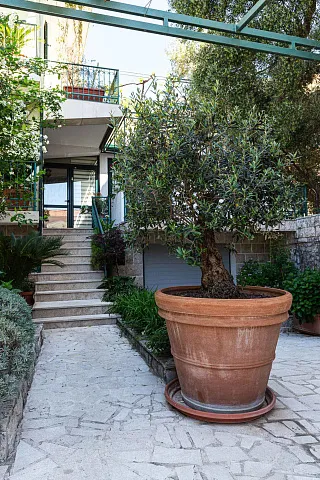 Spacious house in Budva — photo 40