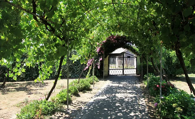 House with a beautiful courtyard in Bar — photo 11