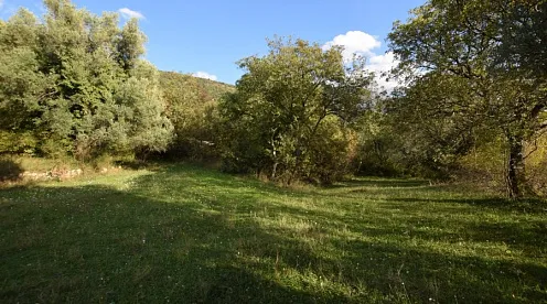 Land in Kotor