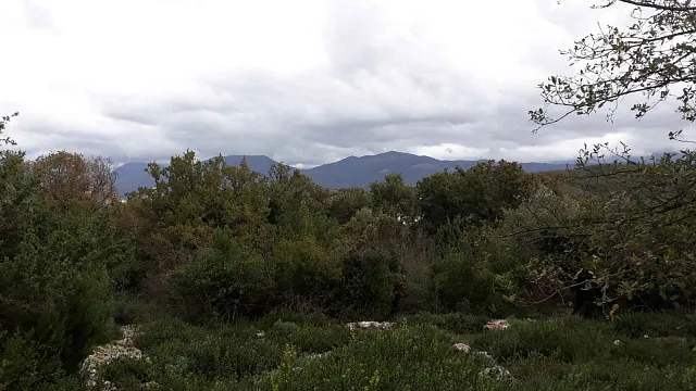 A plot in Radovici — photo 5