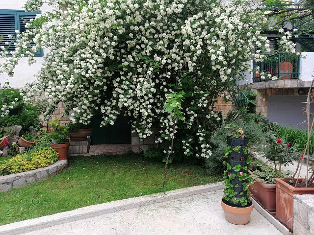 Spacious house in Budva — photo 15