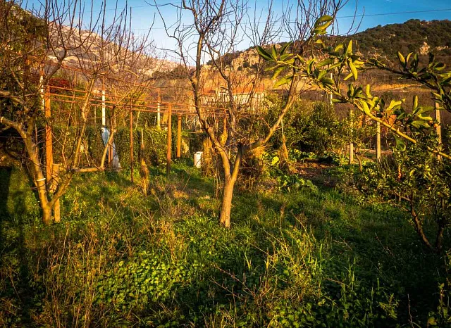 House with a plot and a panoramic view of Budva — photo 20